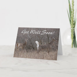 D1 Witstaartdeer Spring Bucks in Cottonwood Kaart