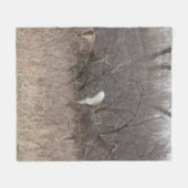 D1 Witstaartdeer Spring Bucks in penseel Fleece Deken (Voorkant (Horizontaal))