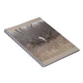 D1 Witstaartdeer Spring Bucks in penseel Notitieboek (Rechterzijde)