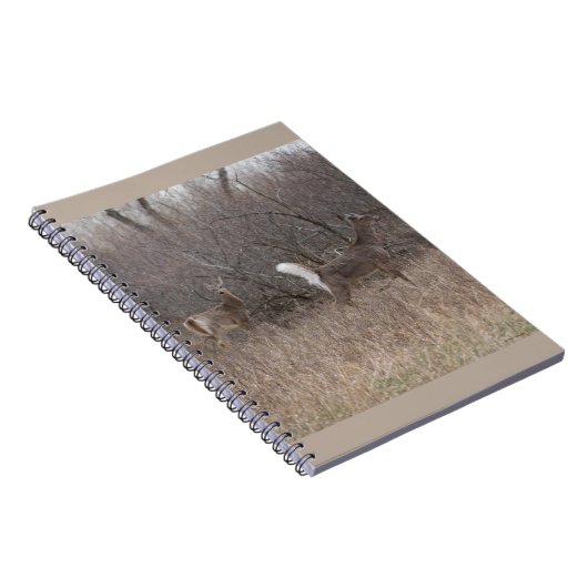 D1 Witstaartdeer Spring Bucks in penseel Notitieboek (Rechterzijde)