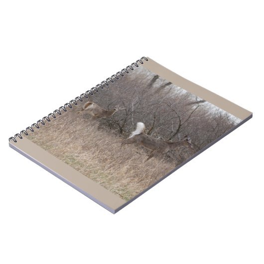 D1 Witstaartdeer Spring Bucks in penseel Notitieboek (Linkerzijde)