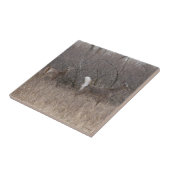 D1 Witstaartdeer Spring Bucks in penseel Tegeltje (Zijkant)