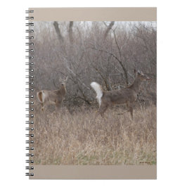 D1 Witstaartherten lente bokken in struikgewas Notitieboek