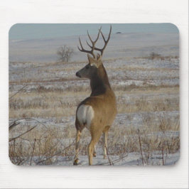 D20 Mule Deer Buck in sneeuw Muismat