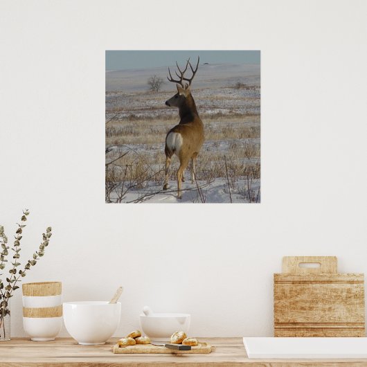 D20 Mule Deer Buck in sneeuw Poster (Keuken)