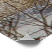 D20 Mule Deer Buck in sneeuw Poster (Hoek)