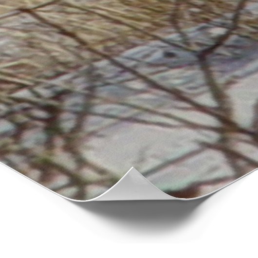 D20 Mule Deer Buck in sneeuw Poster (Hoek)