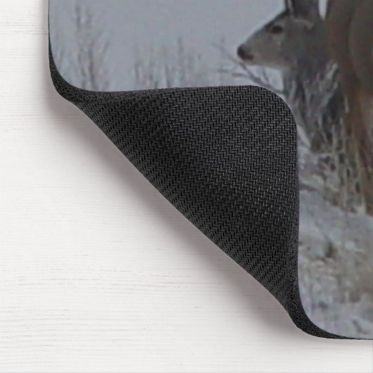 D21b Mule Deer Bucks Muismat (Hoek)