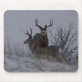D21b Mule Deer Bucks Muismat (Voorkant)