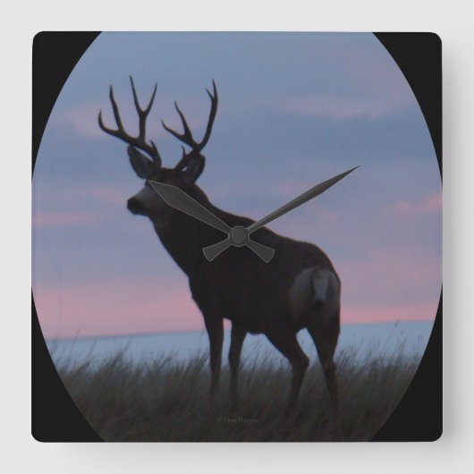 D22 Mule Deer Buck Sunrise Buck Vierkante Klok (Voorkant)