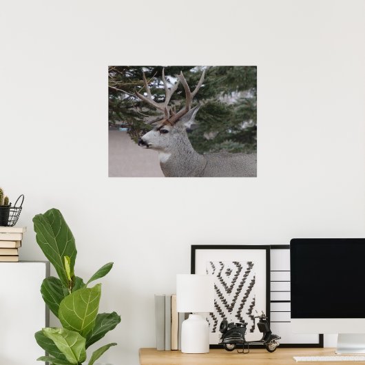 D25 Mule Deer Buck Poster (Thuiskantoor)
