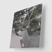 D25 Mule Der Buck Head en Schoudermachines Vierkante Klok (Hoek)