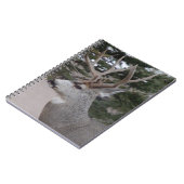 D25 Mule Der Buck Head Shot Notitieboek (Linkerzijde)
