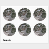 D25 Mule Der Buck Head Shot Ronde Sticker (Vel)