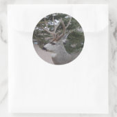 D25 Mule Der Buck Head Shot Ronde Sticker (Tas)