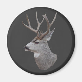 D27 Muildierbok Kop Magneet