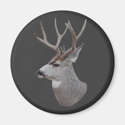 D27 Muildierbok Kop Magneet (Voorkant)