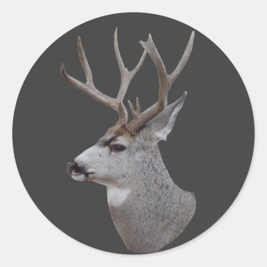 D27 Muilezelhert Buk Kop Ronde Sticker (Voorkant)