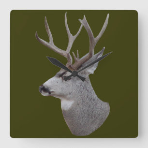 D27 Mule Der Buck Head Shot Vierkante Klok