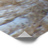 D28 Muildierhertenbok Rent Poster (Hoek)