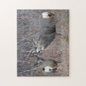 D29 Muildierbok en -geit Legpuzzel (Verticaal)