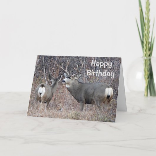 D29 Muilezelhert Kaart (Voorkant)