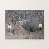 D29 Mule Deer Buck en Doe Legpuzzel (Horizontaal)