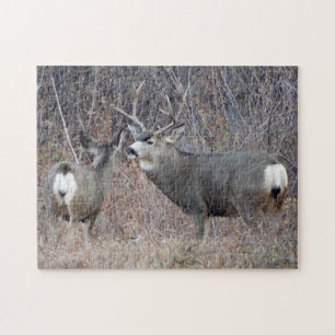 D29 Mule Deer Buck en Doe Legpuzzel