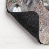 D29 Mule Deer Buck en Doe Muismat (Hoek)