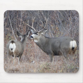 D29 Mule Deer Buck en Doe Muismat