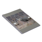 D29 Mule Deer Buck en Doe Notitieboek (Rechterzijde)