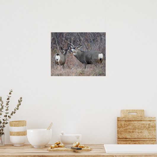 D29 Mule Deer Buck en Doe Poster (Keuken)