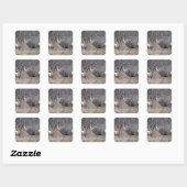 D29 Mule Deer Buck en Doe Vierkante Sticker (Vel)