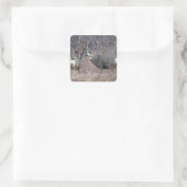 D29 Mule Deer Buck en Doe Vierkante Sticker (Tas)
