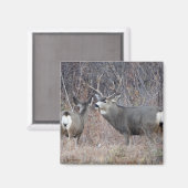 D29 Mule Deer Magneet (Voorkant / Achterkant)