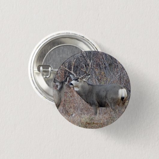 D29 Mule Deer Ronde Button 3,2 Cm (Voorkant /achterkant)