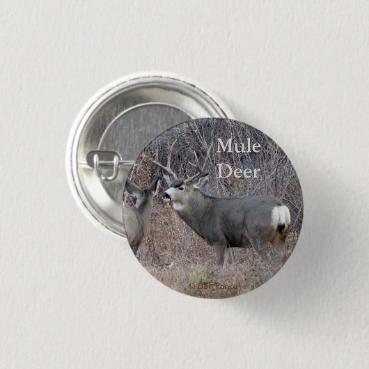 D29 Mule Deer Ronde Button 3,2 Cm (Voorkant /achterkant)