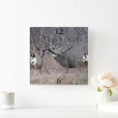 D29 Mule Deer Vierkante Klok (Huis)
