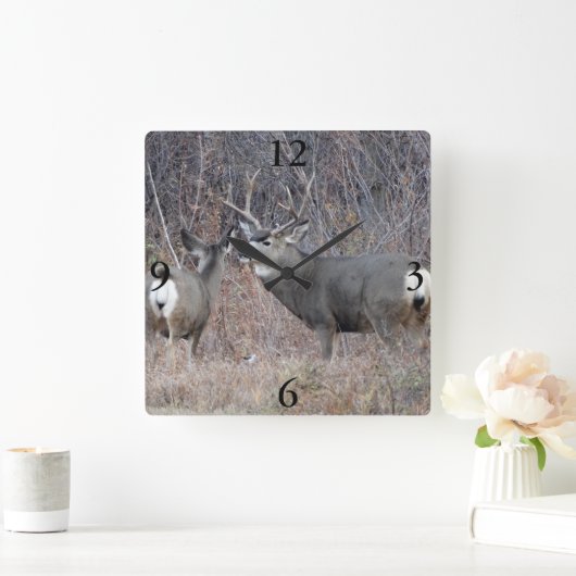 D29 Mule Deer Vierkante Klok (Huis)
