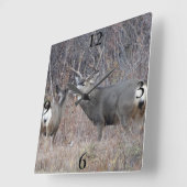 D29 Mule Deer Vierkante Klok (Hoek)