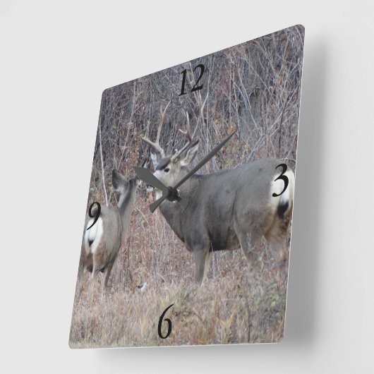 D29 Mule Deer Vierkante Klok (Hoek)