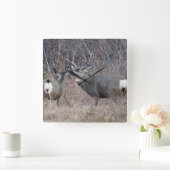 D29 Mule Deer Vierkante Klok (Huis)