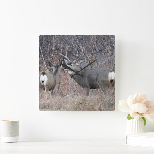 D29 Mule Deer Vierkante Klok (Huis)