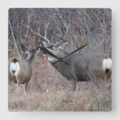 D29 Mule Deer Vierkante Klok (Voorkant)