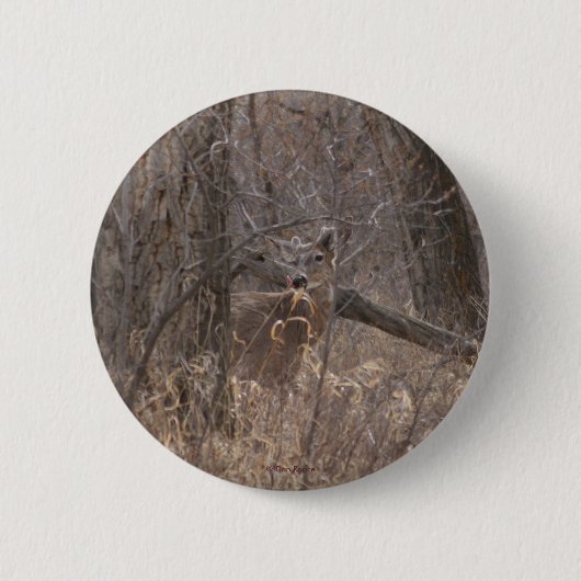 D2 Whitetail Deer Spring Buck in Cottonwood Trees Ronde Button 5,7 Cm (Voorkant)