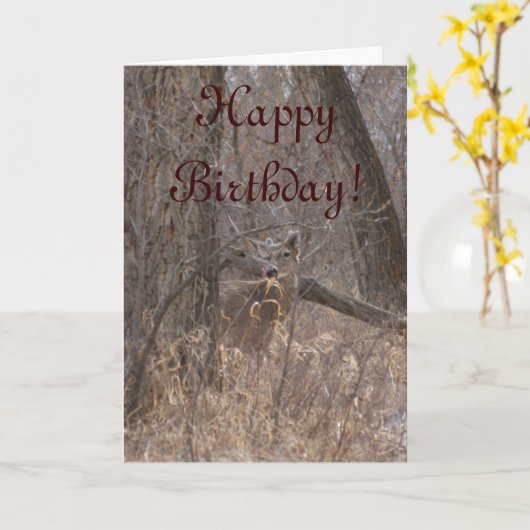 D2 Wit-geroosterd bier in katoenhoutbomen Kaart (Gele Bloem)