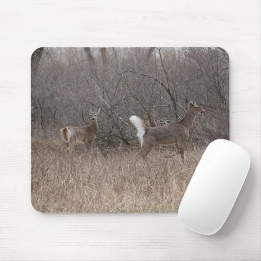 D2 Wit-geroosterd bier in katoenhoutbomen Muismat (Met muis)