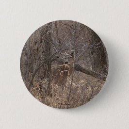 D2 Witstaarthert lente bok in katoenwilgen Ronde Button 5,7 Cm