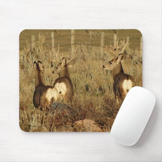 D30 Mule Deer Bucks Muismat (Met muis)