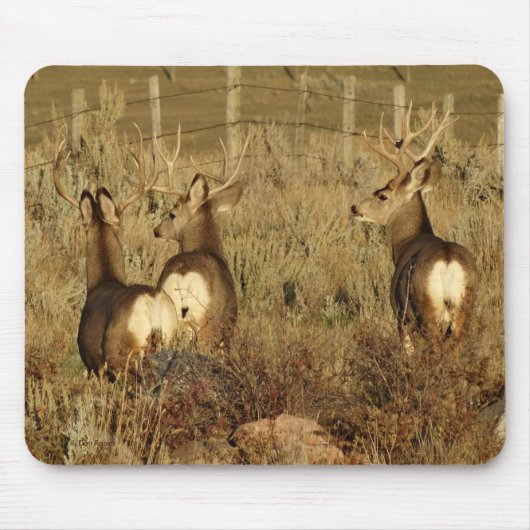 D30 Mule Deer Bucks Muismat (Voorkant)